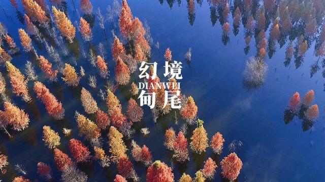 逗小猴开心系列195