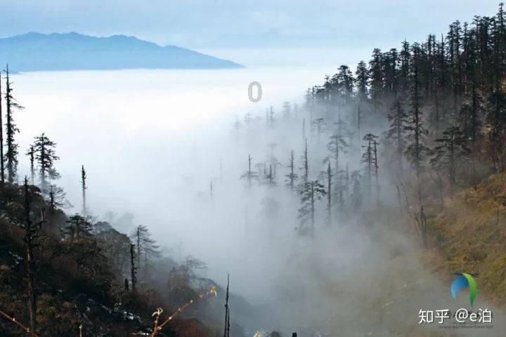 动物帮帮忙保卫家园
