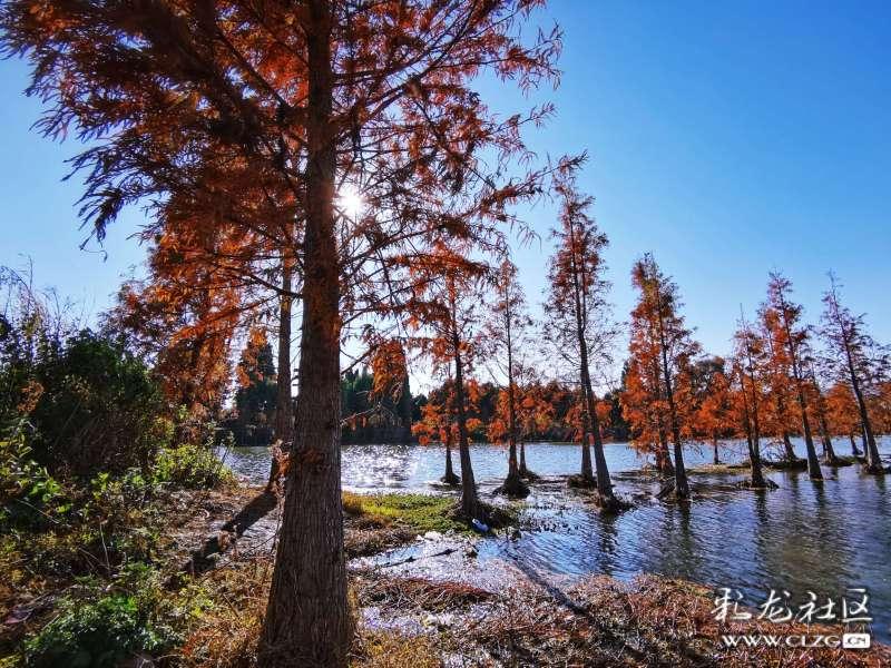 迪马济奥:完全谈妥,罗马后卫维纳将以810万欧转会弗拉门戈