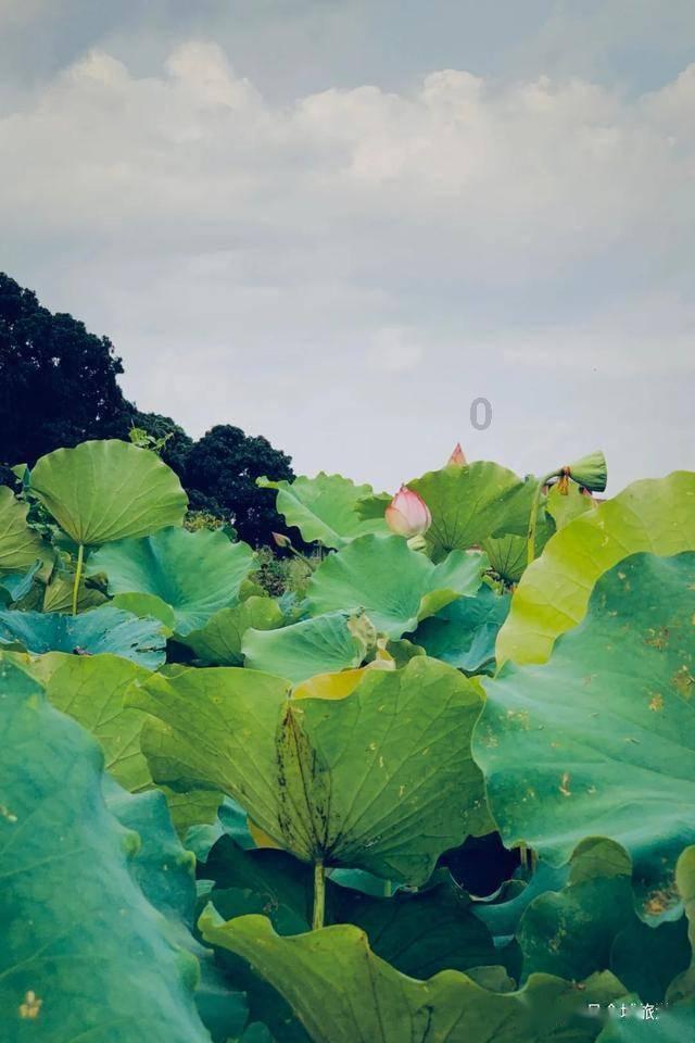幽灵猎人2