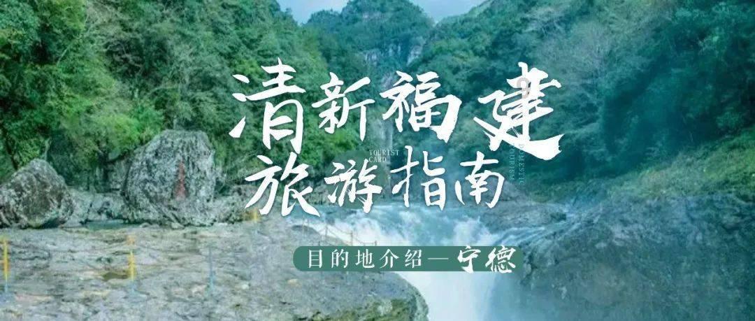 细胞分裂5