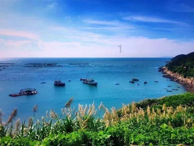 测试你与TF男孩的缘分