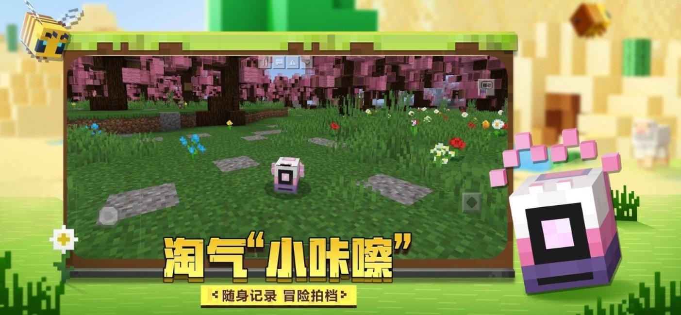初体计划