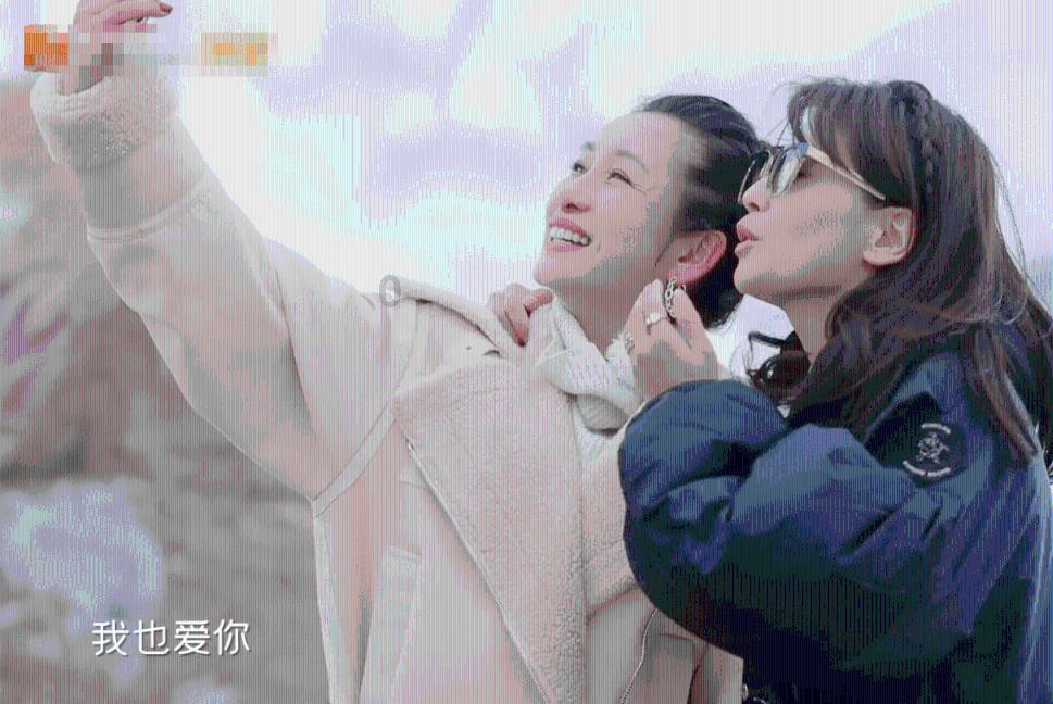 银河中动物逃生