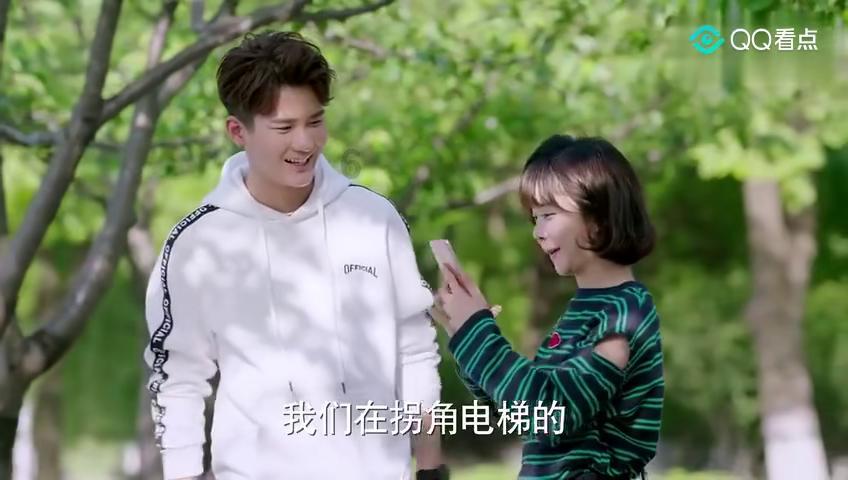 小猫钓鱼正版下载中文版