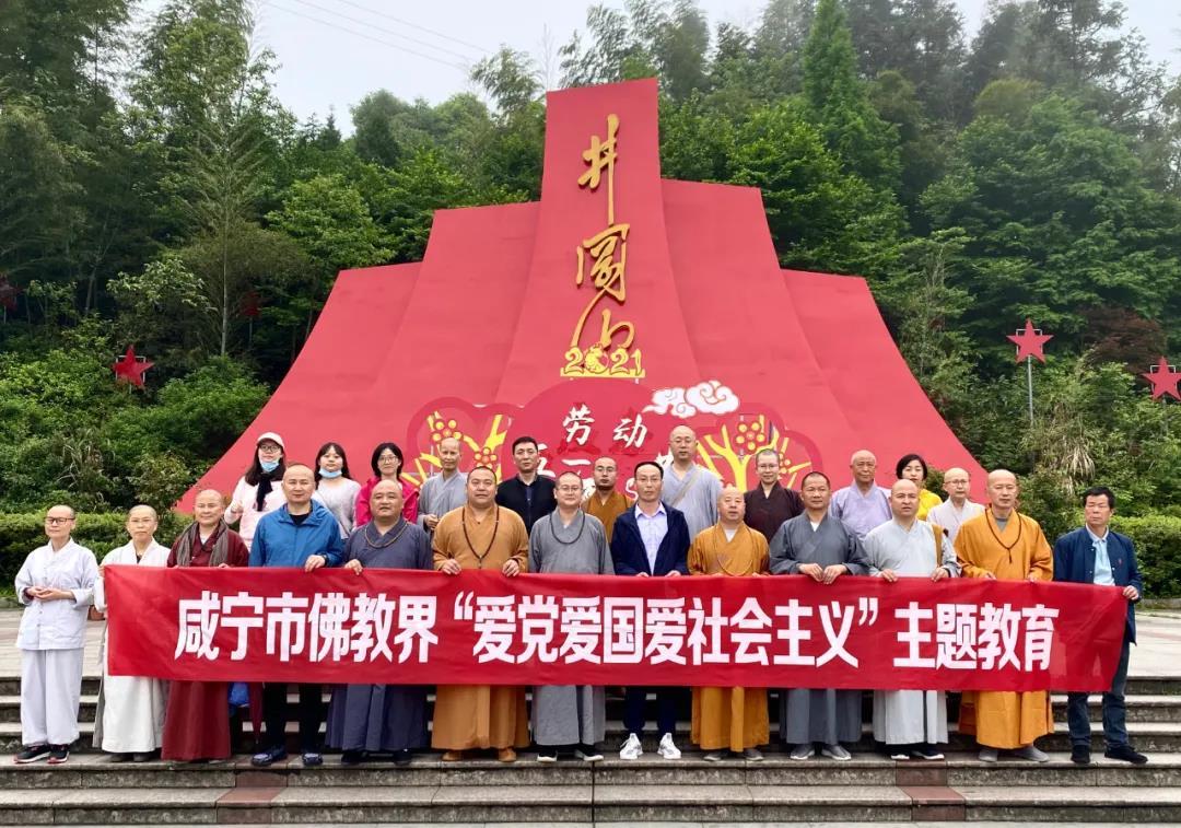 植物真的可以去甲醛吗？游戏画面