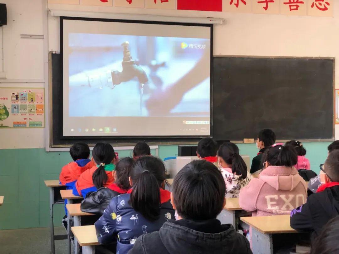 照顾小兔宝宝