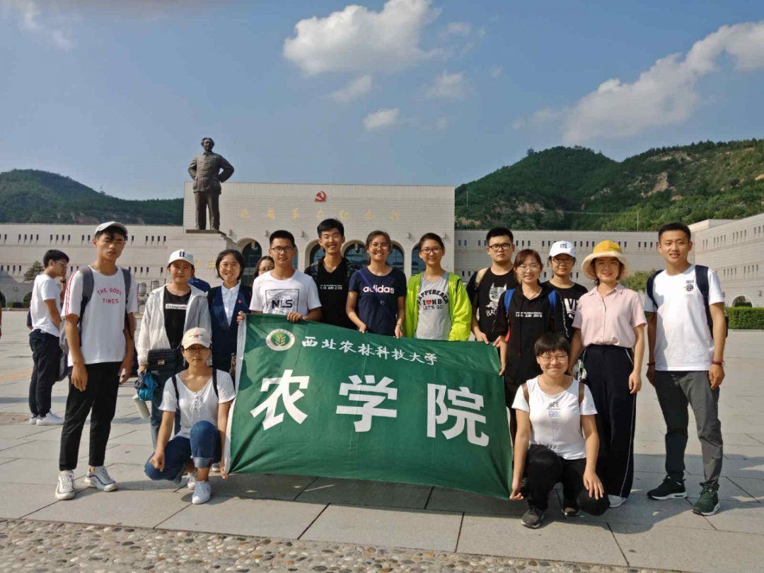 救援菠萝舞者