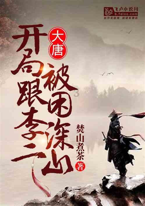 进击的飞机