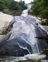 杜月笙大兴土木建祠堂,社会名流纷纷道贺送礼
