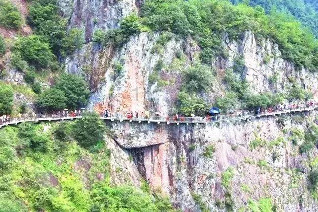 生化危机：浣熊市行动