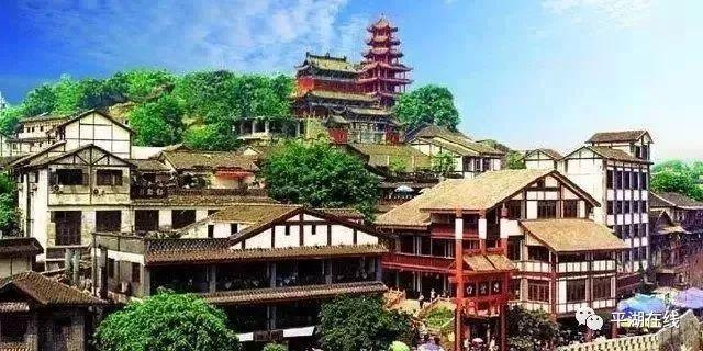 春雨直播app