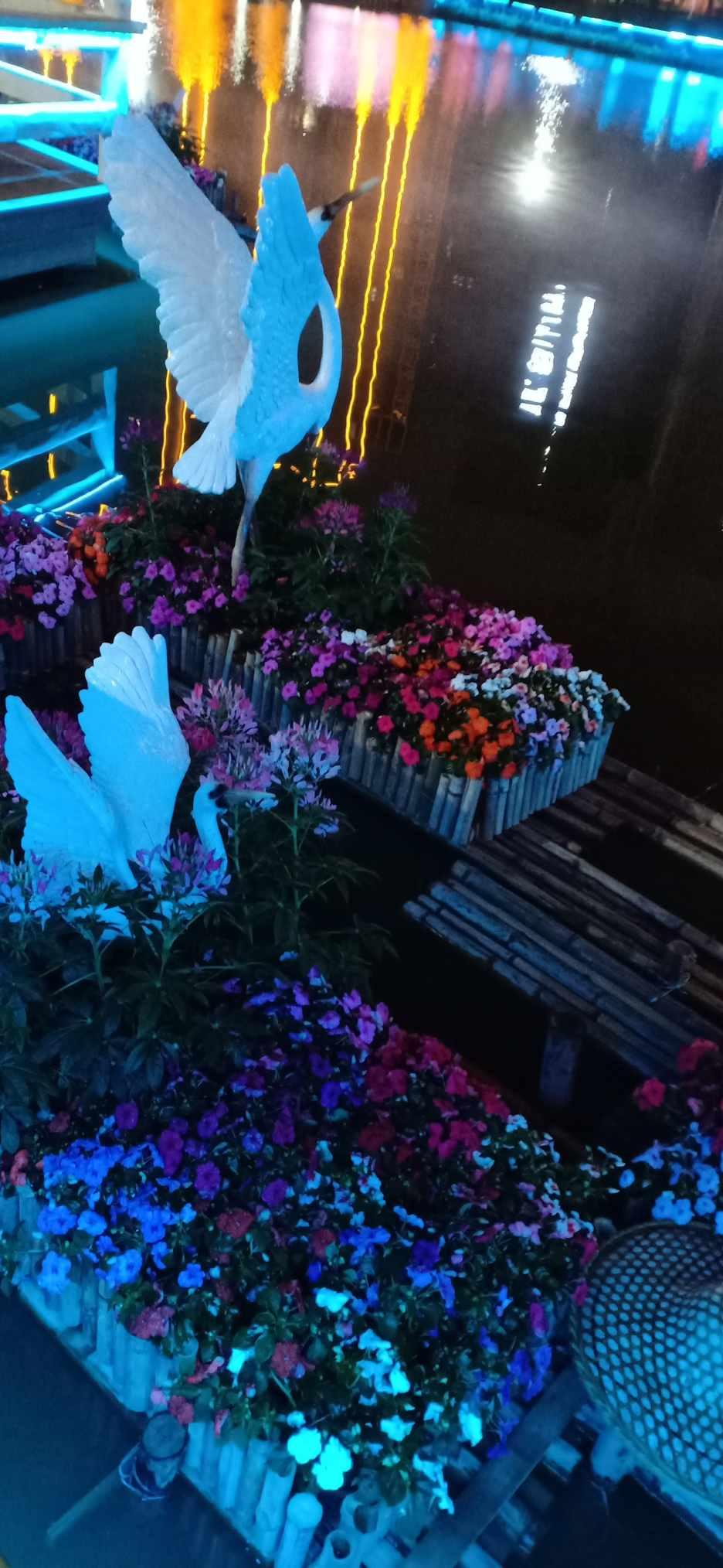 逃离蜥蜴森林