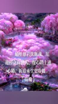 奥日与精灵意志